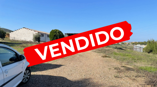 Finca rústica con casa en Carretera de Cañete
